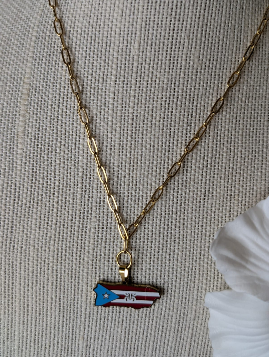 Gold Stainless Steel Colored Puerto Rico Map Flag Paperclip Necklace