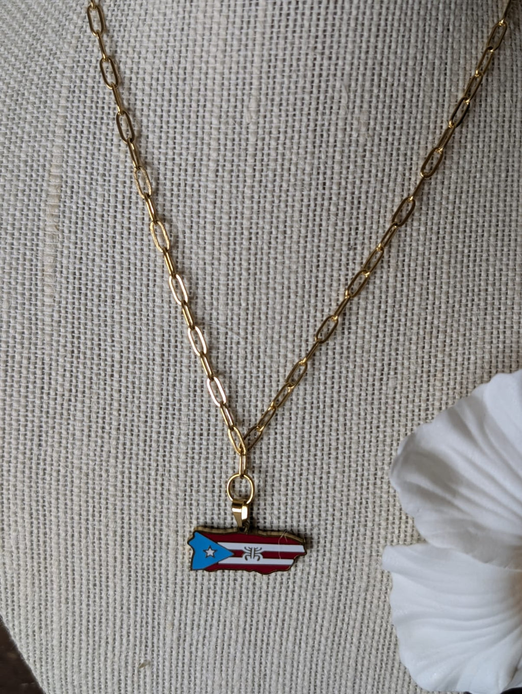 Gold Stainless Steel Colored Puerto Rico Map Flag Paperclip Necklace