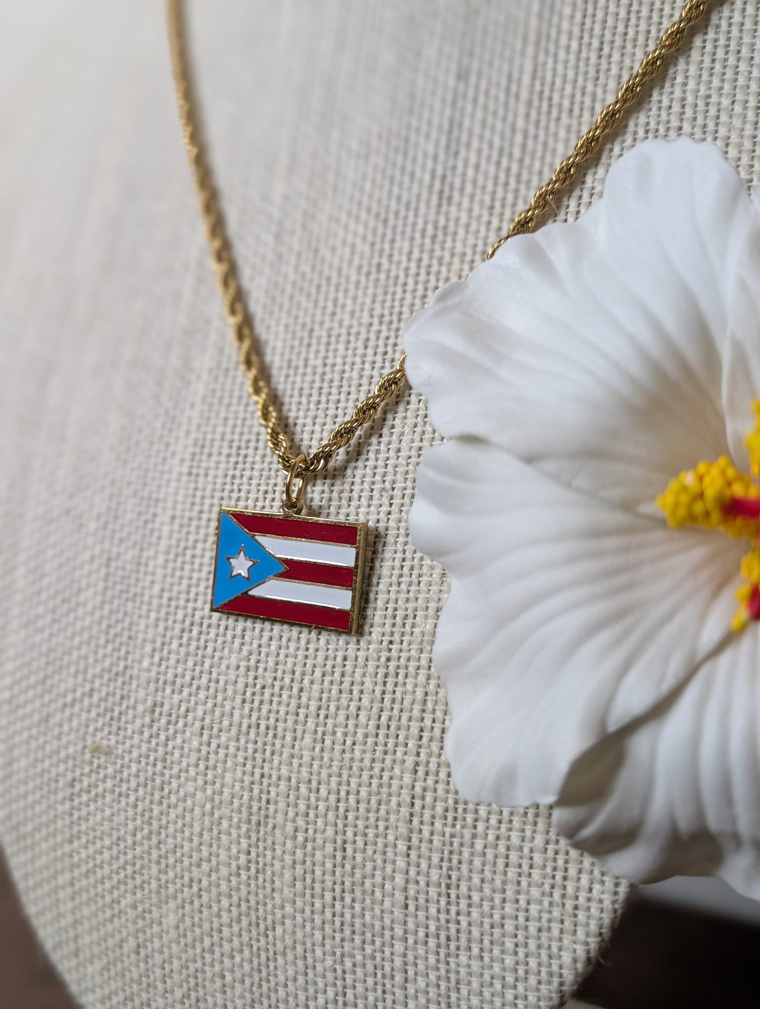 Stainless Steel Colored Puerto Rico Flag Necklaces