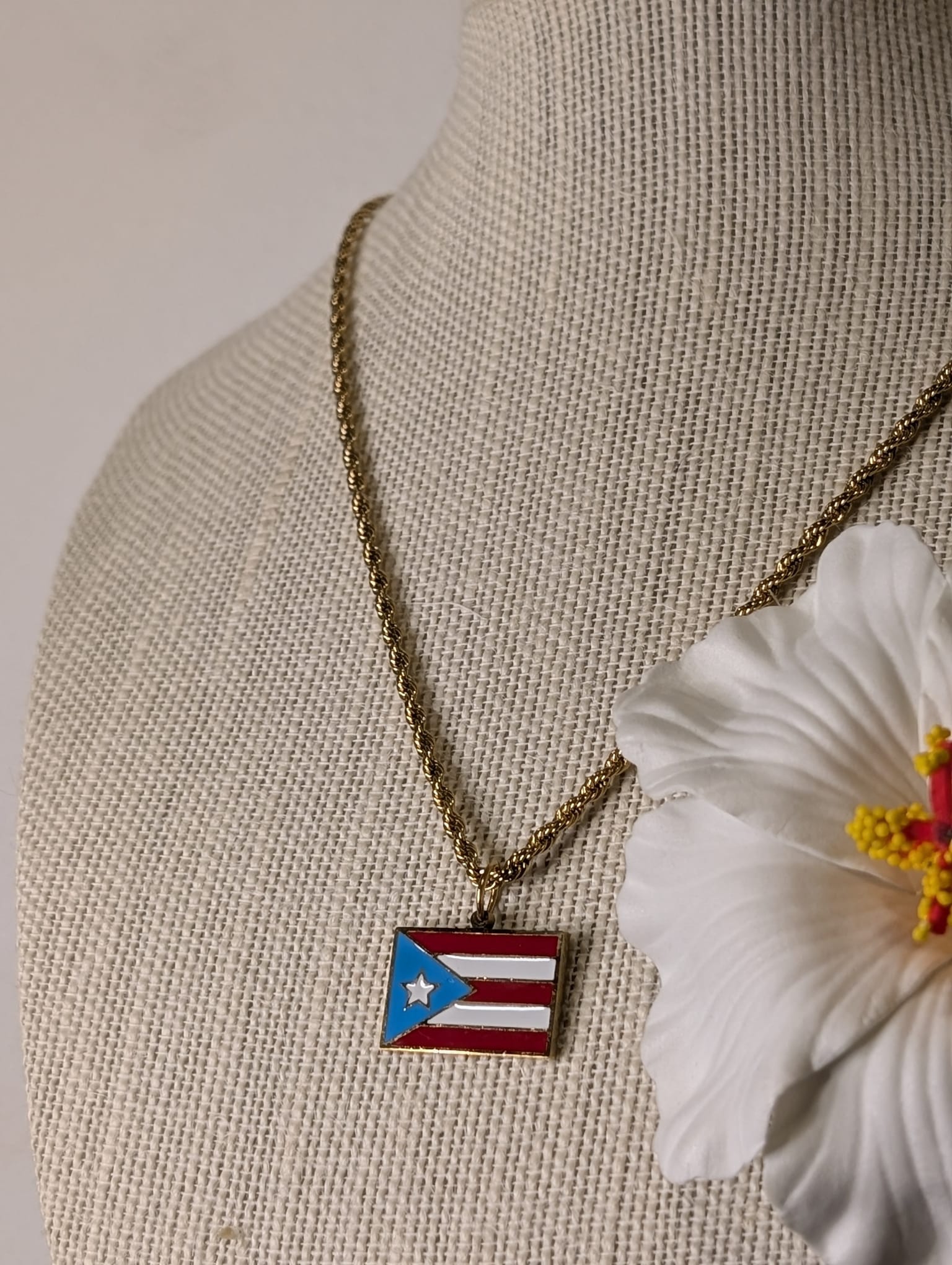 Stainless Steel Colored Puerto Rico Flag Necklaces